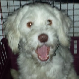 D dc77f878 00cb 4024 b036 b88c7a3cc7cf