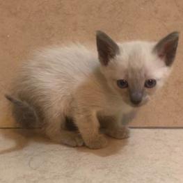 D c781aa16 94e8 4085 bf70 7a970965cf9b