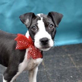 D e913b5ad 2ddf 498d 8e2b 32e46a5d8e77