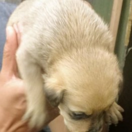 D 58ceb70c 899d 4d23 bc4c 04cbcfe711fb