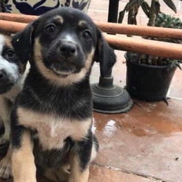 D bce739ad 0c24 484d 93e1 d24e60dddc6c