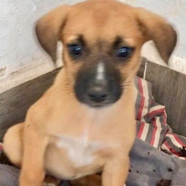 D 0ab4c4e3 850e 4db2 be0e 9f088078fbd3