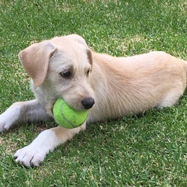 D 3e95298c 1103 422a bfcb f9d8d85afe30