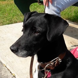 D f734fe27 db21 459e 9e27 e8d06fc4021a