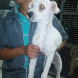 D 5d0d446e 0a26 4091 bd67 e5d0b9e1f51f