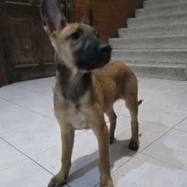 D 205495aa 5fe1 4b28 8600 478d10fa1ea9