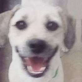 D ba05aea7 10e4 4a69 9eec 33bc06505706