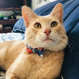 D d58da962 c7cf 43b3 af22 27a0071a724c