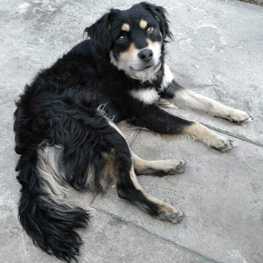 D 2778396b 1914 491b 9b6d 386d755fc816