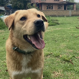 D 237c6804 1875 4664 be20 c9f17cc8970e