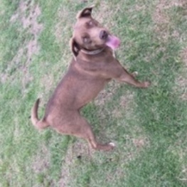 D 84dd69dd dde3 4a5a 8f9a 1941897282e3