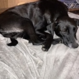 D 50c3dc6e e722 435f ac7f 1e41a175f7b4