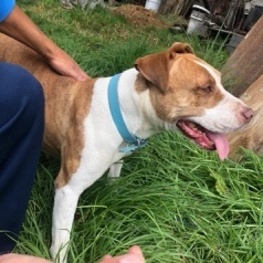 D 44b27cac 2739 40a5 99aa 7a94194a9c82