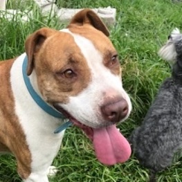 D a3500d67 2710 4807 a1e1 805d9d8ed226