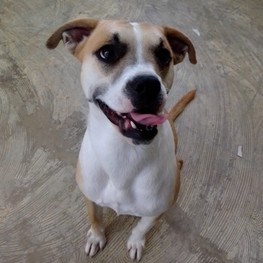 D b8141f17 8f3d 4760 a50d 14012c968a6e