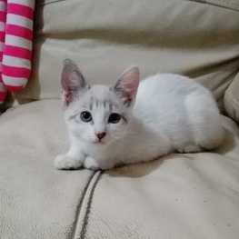 D 6a01b2ce 4fc5 488f b77d f2448a883c08