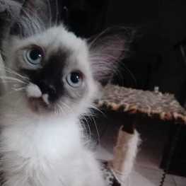 D c8314951 431d 436b 84d7 5cc294b0c834