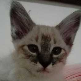 D 88a2a2c8 d701 4980 a548 eeb590337cf6