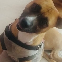 D 739ce194 2c59 4b98 8670 cbf159ac5890