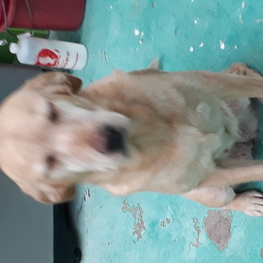 D da558261 92e0 4e26 bc02 4e92005a67ad