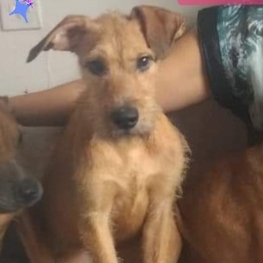 D 0801a59c c24c 44ab 88b5 264725dd4392