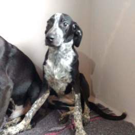 D ec750f14 c901 4ffe 82db 1e025b96fd3e