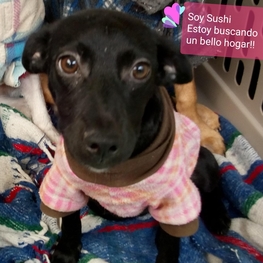 D eb208ce0 e255 4e7b a8d0 e960cb84ff8a