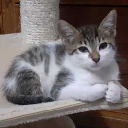 D d8187acb fc7f 4a4f 95c9 5b92d6a32e52