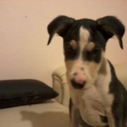 D 4f12ac61 b2f9 4e75 9d57 2d80f84e8df4