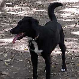 D fd59efcd b2e1 4dee b6bd 8a4564f96ace