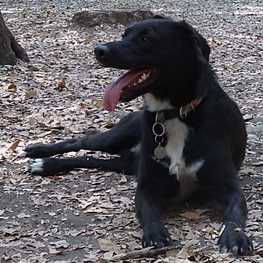 D 6213a821 5987 46fb 85a8 cc0841efac99