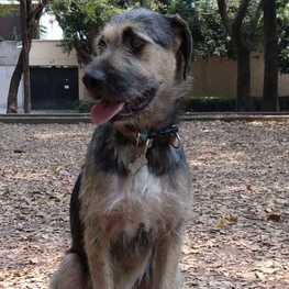 D 09482f7a 8a80 4ba6 8b25 940896f23fc4