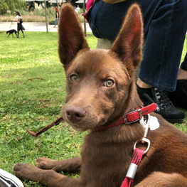 D 638a99c0 abbe 4f31 a204 44f2f3ed2593