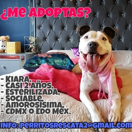 D b0eb7d02 e13a 4571 9c97 2ac4ab83f09c