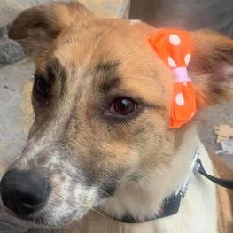 D 67f91405 cc96 4b4b 92fb 41185b100527