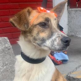 D ae14758c fd48 457e b7a7 0290113e5b1a