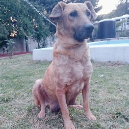 D f4ddce3b 5576 4a8f aa91 45652dd63630