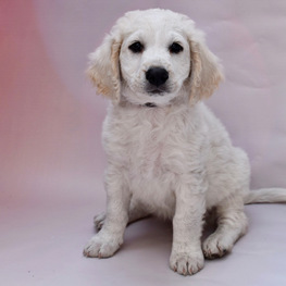 D 78616c36 2361 4a42 b4f5 d70f884ef0f5