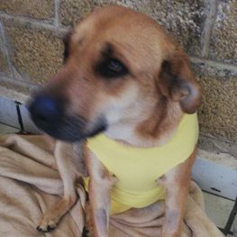 D 455795f0 c624 40d2 8bad 433c23f5eb30