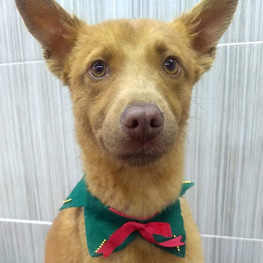 D 9d58d7cb 07db 4461 8155 4cc2901922fc