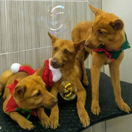 D 5279862f 19a8 47c0 9ad6 43e4da492597