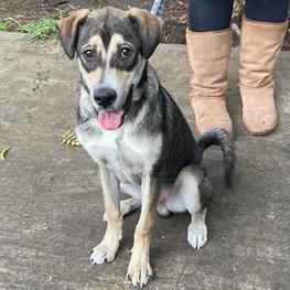 D 9e1da7ba 2bc5 409f 88af ae07b00aee90