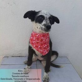 D d75a50a7 087f 4e77 a55d a0d77de89b4e