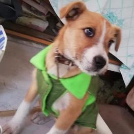 D 6446421b d3d5 4d98 b8d3 b8e9aea1e0bf