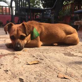 D 483f67f7 d42b 4f43 ac54 80a0c6c90bc0