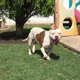 D bd647859 d192 483b a541 58749dede2cc