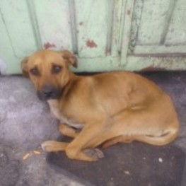 D d7e014bd 069b 4e3a ba8e 5e20a9f30b62