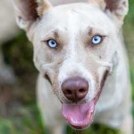 D 4f8efa88 d993 412b a24f f436d391b0c7