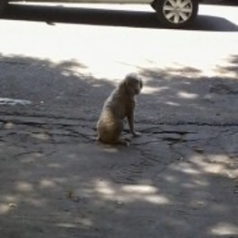 D e0a40089 350e 4f57 a9e0 daefdfba85d5