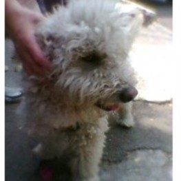 D ee82bce6 5b3a 4bb9 9876 8beb39615b15